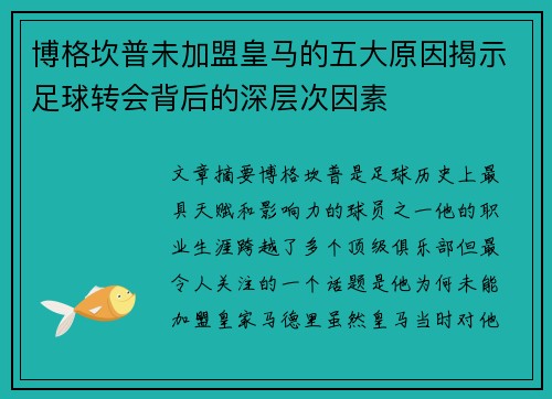 博格坎普未加盟皇马的五大原因揭示足球转会背后的深层次因素