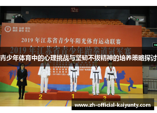青少年体育中的心理挑战与坚韧不拔精神的培养策略探讨