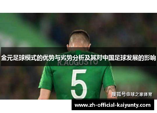 金元足球模式的优势与劣势分析及其对中国足球发展的影响